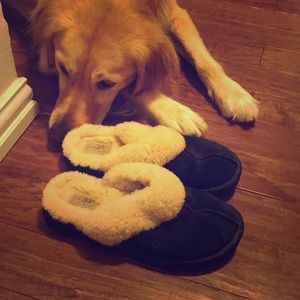 Ugg Slippers S8